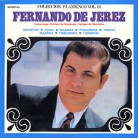 Fernando de Jerez - Colección Flamenco, Vol. 11