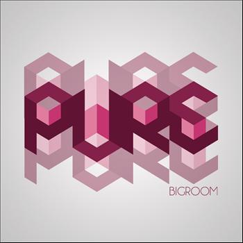 Various Artists - Pure Bigroom