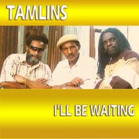 The Tamlins - I'll Be Waiting