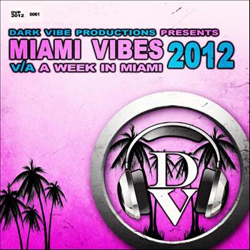 Various Artists - Miami Vibes 2012