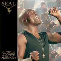 Seal - One Night to Remember