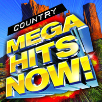 Modern Country Heroes - Country Mega Hits Now!