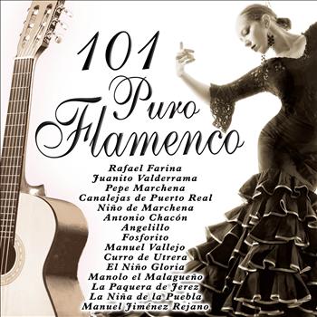 Various Artists - 101 Puro Flamenco