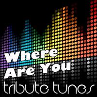 Perfect Pitch - Where Are You (Tribute to B.O.b Vs. Bobby Ray)