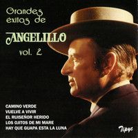 Angelillo - Grandes Éxitos de Angelillo, Vol. 2