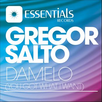 Gregor Salto - Damelo (You Got What I Want)