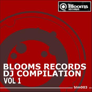 Various Artists - Blooms Records DJ Compilation, Vol. 1