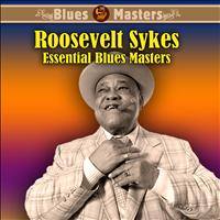 Roosevelt Sykes - Essential Blues Masters
