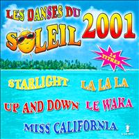 Digital Orchestra - Les danses du soleil 2001