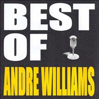 Andre Williams - Best of Andre Williams