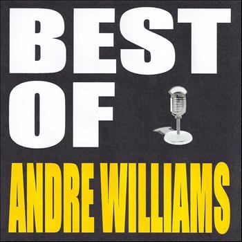 Andre Williams - Best of Andre Williams