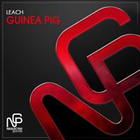 Leach - Guinea Pig
