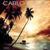 Carlo Whale - The Sunset