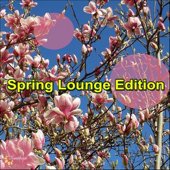Various Artists - Spring Lounge Edition