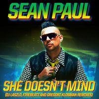 Sean Paul - She Doesn't Mind (Remixes)
