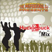The Professional DJ - The Hucklebuck Mix