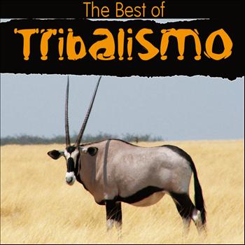 Various Artists - The Best of Tribalismo