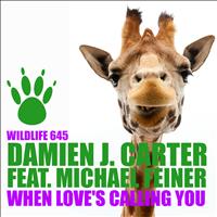 Damien J. Carter featuring Michael Feiner - When Love's Calling You