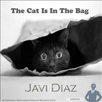 Javi Diaz - Cat In The Bag EP