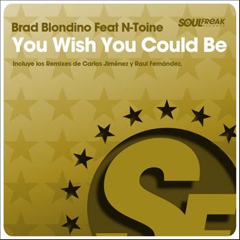 Brad Blondino - You Wish You Could Be
