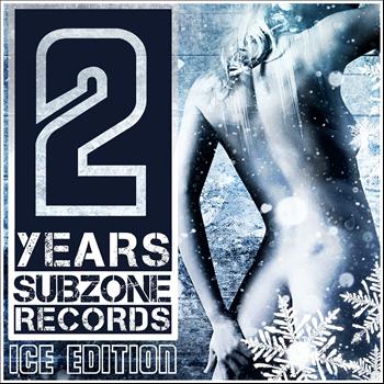 Various Artists - 2 Years Subzone Records Ice Edition (Explicit)