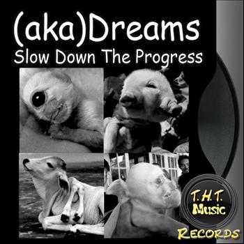 (Aka)Dreams - Slow Down The Progress