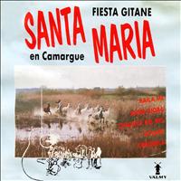 Santa Maria - Fiesta gitane en Camargue
