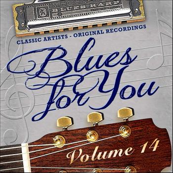 Various Artists - Blues for You, Volume Fourteen