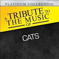 Platinum Collection Band - A Tribute to the Music of Cats