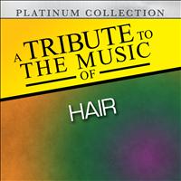 Platinum Collection Band - A Tribute to the Music of Hair