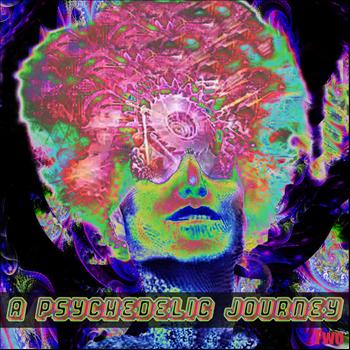 Various Artists - A Psychedelic Journey 2