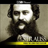 Alfred Scholz - Strauss: Where the Lemons Blossom