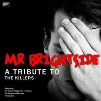 Ameritz Tribute Tracks - Mr Brightside - A Tribute to The Killers