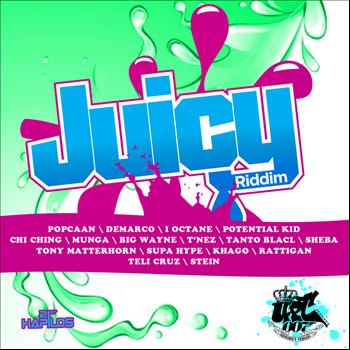 Various Artists - Juicy Riddim
