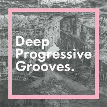 Various Artists - Deep Progressive Grooves