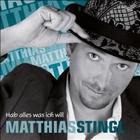 Matthias Stingl - Hab alles was ich will (Explicit)
