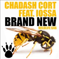 Chadash Cort featuring Iossa - Brand New