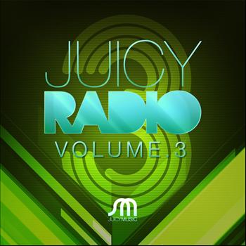Various Artists - Juicy Radio Volume 3