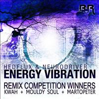 Hedflux - Energy Vibration Competition Winners