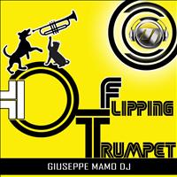 Giuseppe Mamo DJ - Flippin Trumpet