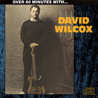 David Wilcox - Over 60 Minutes With...