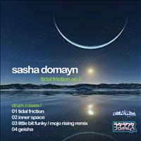 Sasha Domayn - Tidal Friction