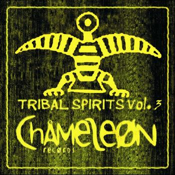 Various Artists - Tribal Spirits, Vol. 3