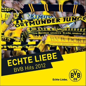 Various Artists - Echte Liebe - BVB Hits 2012