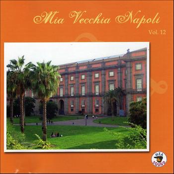 Vari artisti - Mia Vecchia Napoli, vol. 12