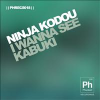 Ninja Kodou - I Wanna See (Original Mix)