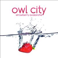 Owl City - Strawberry Avalanche