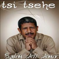 Salim Ali Amir - Tsi tsehe