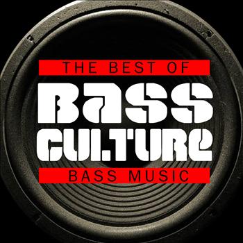 Various Artists - Bass Culture - The Best of Bass Music