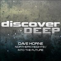 Dave Horne - Northern Heights / Into the Future